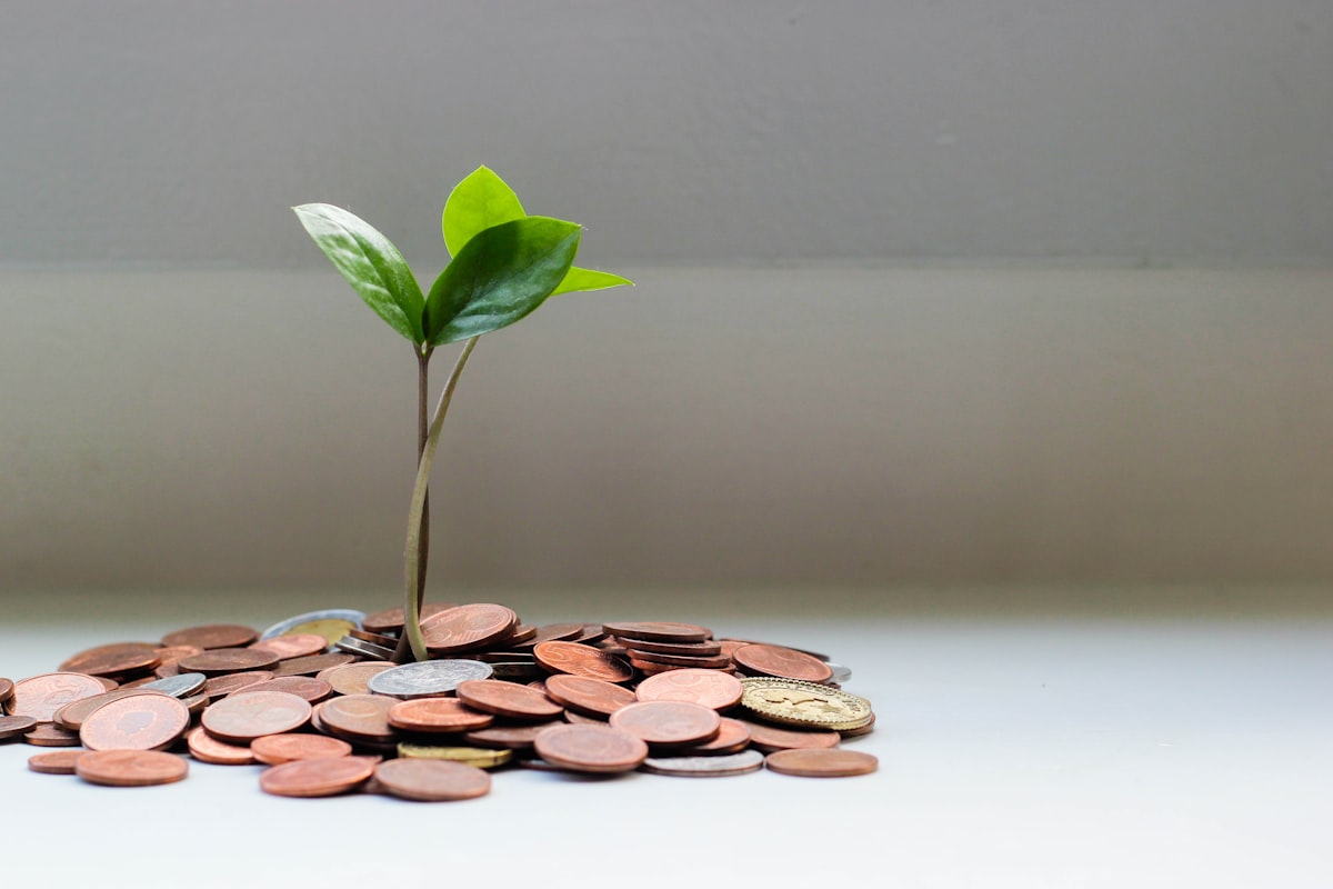Calculator and coins showing accumulated marketplace fees
